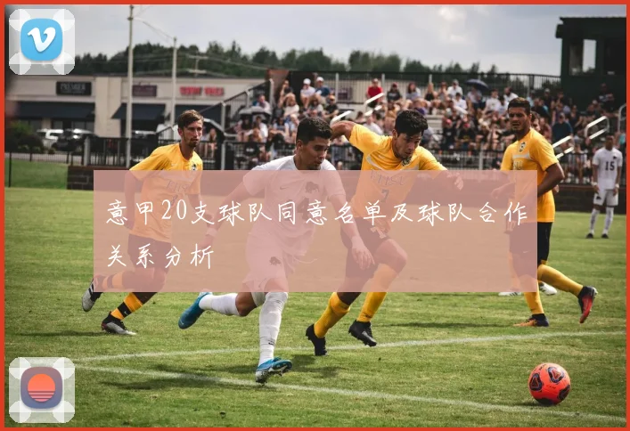 意甲20支球队同意名单及球队合作关系分析